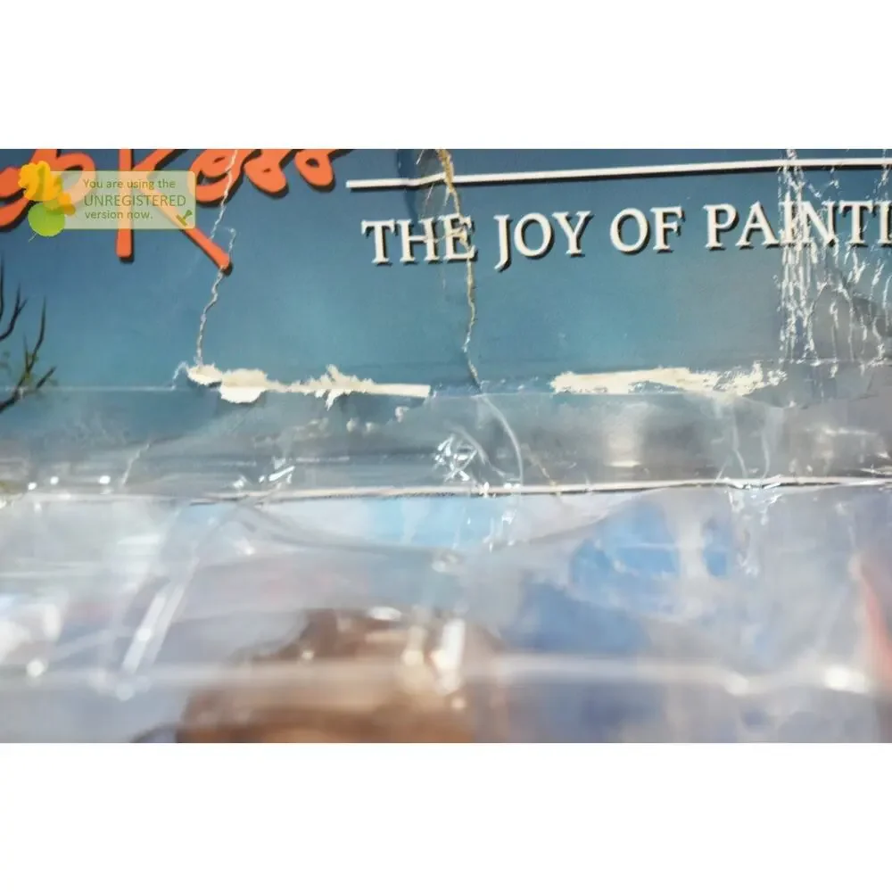 NECA Toony Classics Bob Ross 6